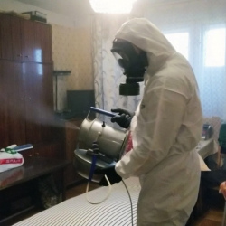 Дезинфекция от клопов в Дмитриеве